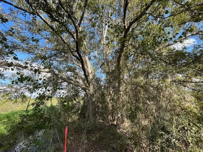 19938 NW 278th St, Okeechobee, FL 34972 - MLS RX-10938004 for Sale