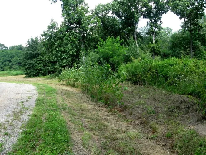 30481 PEACEFUL COURT, Potomac, IL 61865 Land For Sale  MLS# 11971507