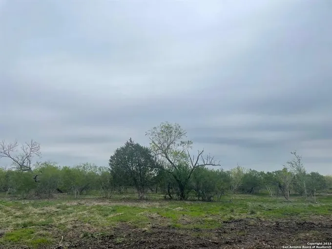 118 WILD PERSIMMON TRAIL, Marion, TX 78124 for Sale