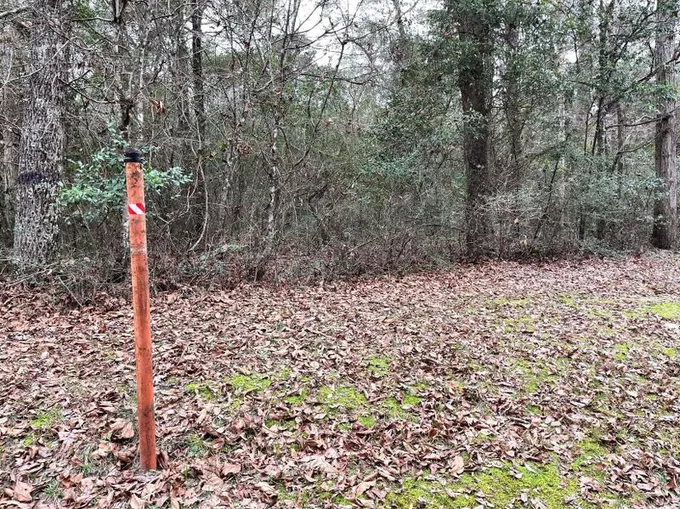 Cleveland, Liberty County, TX Recreational Property, Undeveloped Land, Homesites for sale Property ID: 418627310