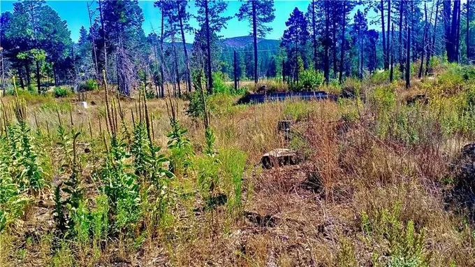 Oroville, Butte County, CA Undeveloped Land, Homesites for sale Property ID: 418699819