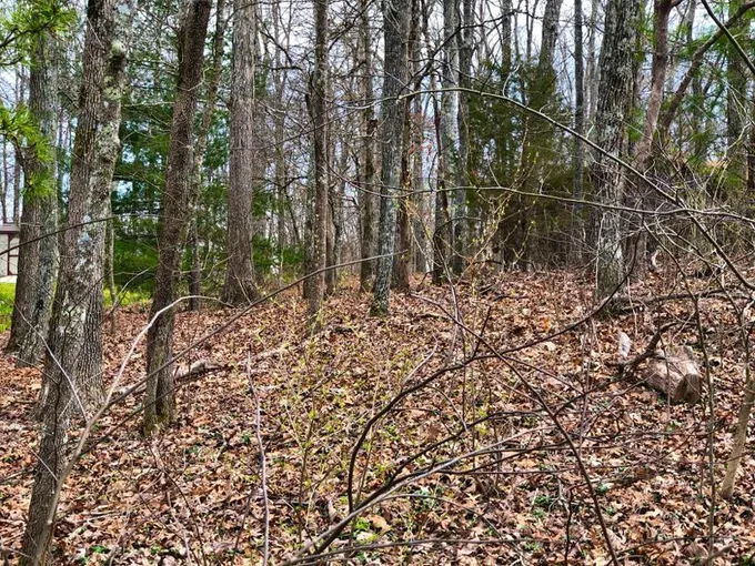 Fairfield Glade, Cumberland County, TN Undeveloped Land, Homesites for sale Property ID: 418520146