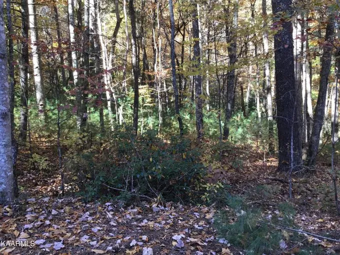Fairfield Glade, Cumberland County, TN Undeveloped Land, Homesites for sale Property ID: 418520115