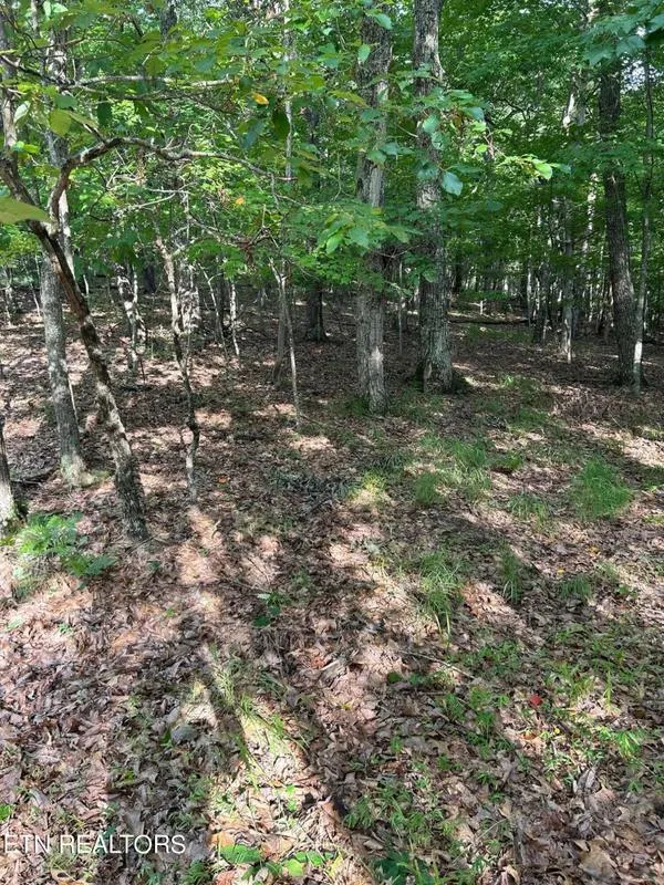 Fairfield Glade, Cumberland County, TN Undeveloped Land, Homesites for sale Property ID: 418520112