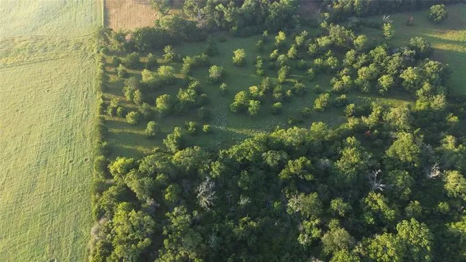 TBD FERRILL CREEK, Bryan, TX 77808 for Sale