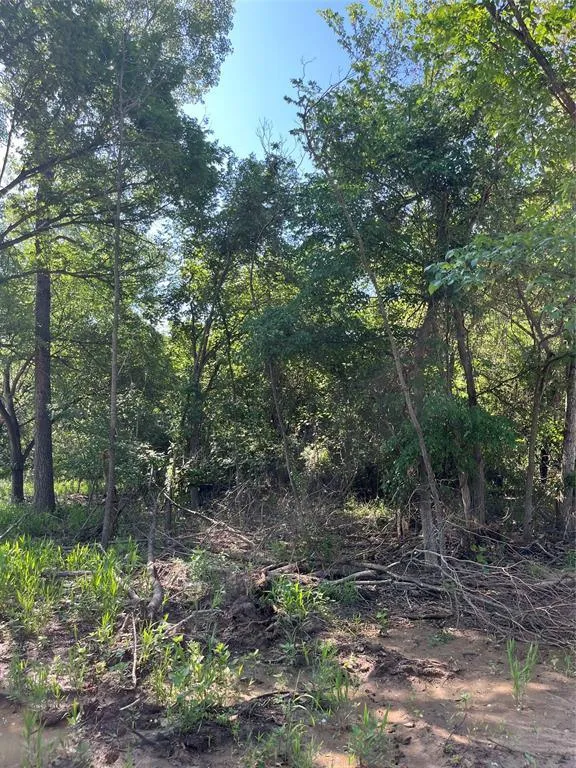 Lot 46 Antrim Ct, Poolville, TX 76487 for Sale