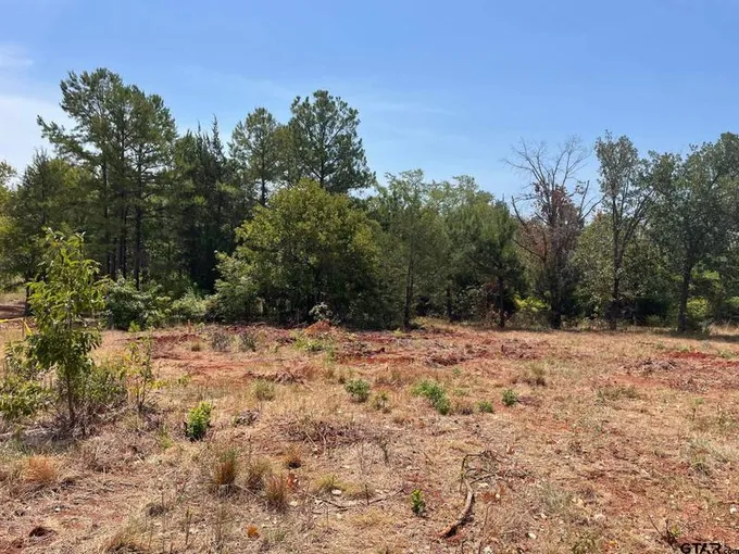 12315 Hackberry Holw Drive, Tyler, TX 75706 for Sale