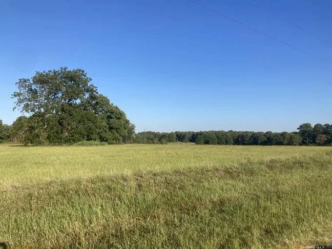 Lot 5 CR 1100, Tyler, TX 75703 for Sale