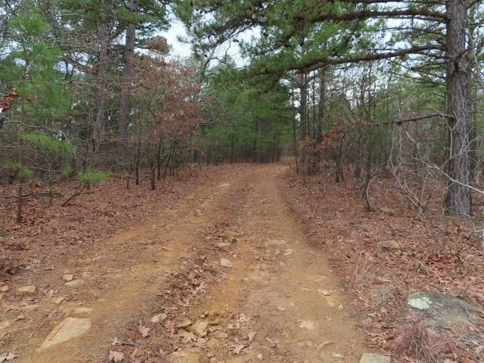 Clayton, Pushmataha County, OK Undeveloped Land for sale Property ID: 418734782
