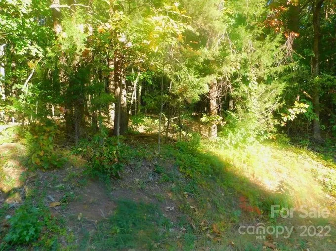 000 W Liberty Hill Rd #Tract 46, York, SC 29745 - MLS 3914788 for Sale