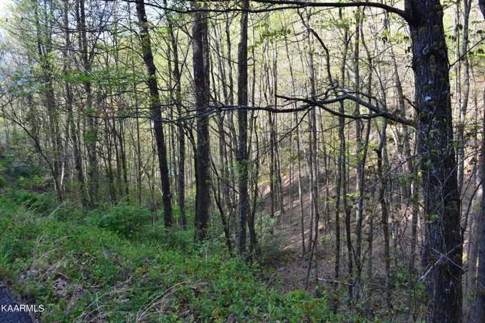 Sevierville, Sevier County, TN Undeveloped Land, Homesites for sale Property ID: 413359153