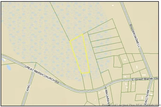 East Great Marsh Church Road, St. Pauls, NC 28384 for Sale