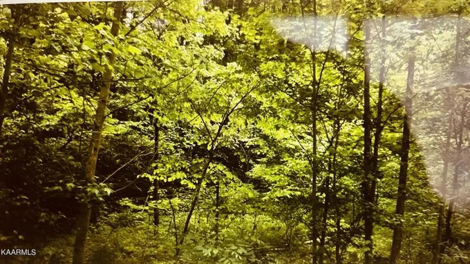 Sevierville, Sevier County, TN Undeveloped Land, Homesites for sale Property ID: 418899551