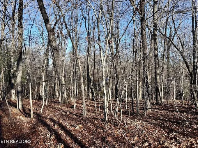 Crossville, Cumberland County, TN Homesites for sale Property ID: 418823190