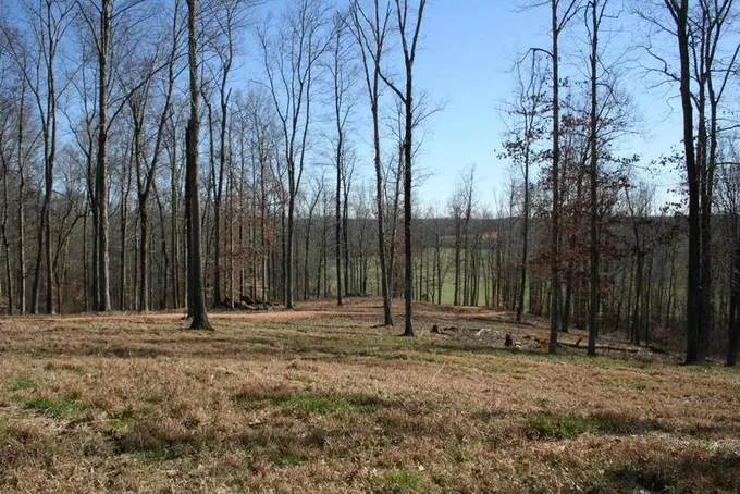 Poplar Springs Bargerton Rd, Lexington, TN 38351  MLS# 240637 for Sale