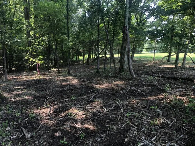 0 MURPHY HOLLOW ROAD TRACT 4, Vanleer, TN 37181 Land For Sale  MLS# 2616949