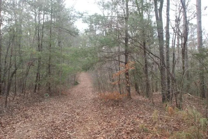 Lt 641 Nugget Lane, Ellijay, GA 30540  624427924 for Sale