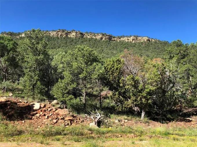 48 CICUYE RD, Pecos, NM 87535 Single Family Residence For Sale  MLS# 202232867
