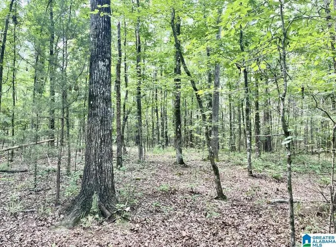 009 HIGHWAY 5 # 13, WEST BLOCTON, AL 35184 Land For Sale  MLS# 21375347