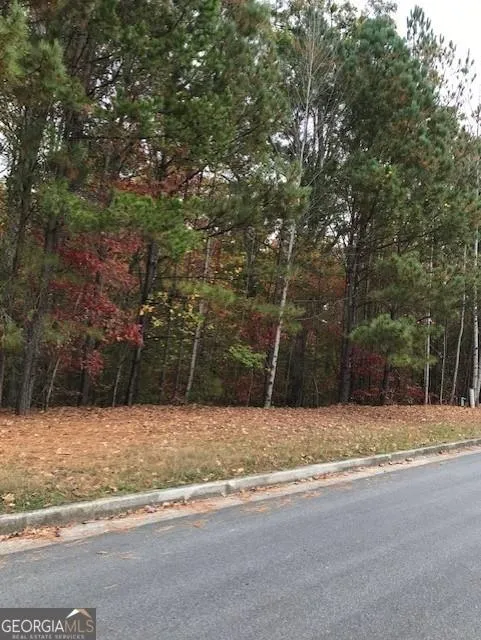 3 Doe Court, Unit 1397, Cartersville, GA 30120 for Sale