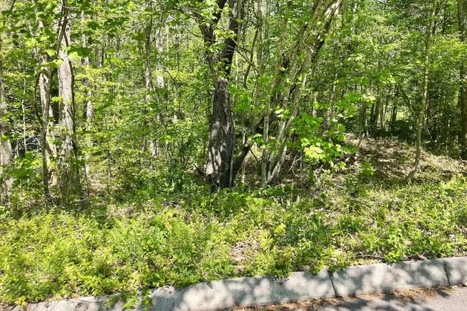 Easley, Pickens County, SC Undeveloped Land, Homesites for sale Property ID: 418775881