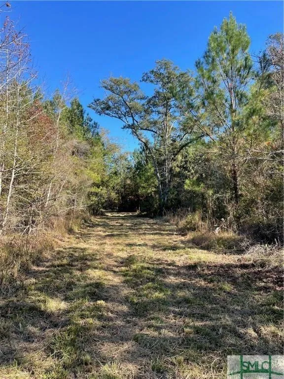 0 HWY 17 N. HIGHWAY, Guyton, GA 31312 Land For Sale  MLS# 302134