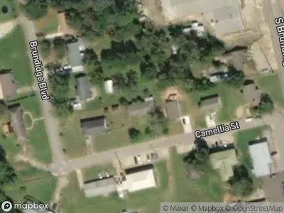Camellia St for Sale