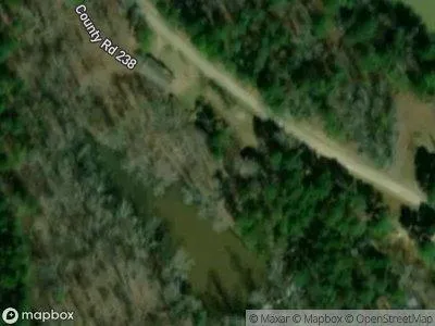 County Road 238 for Sale