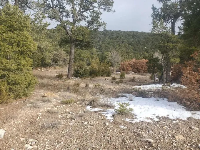 8 Teypana Drive, Tijeras, NM 87059  625251459 for Sale