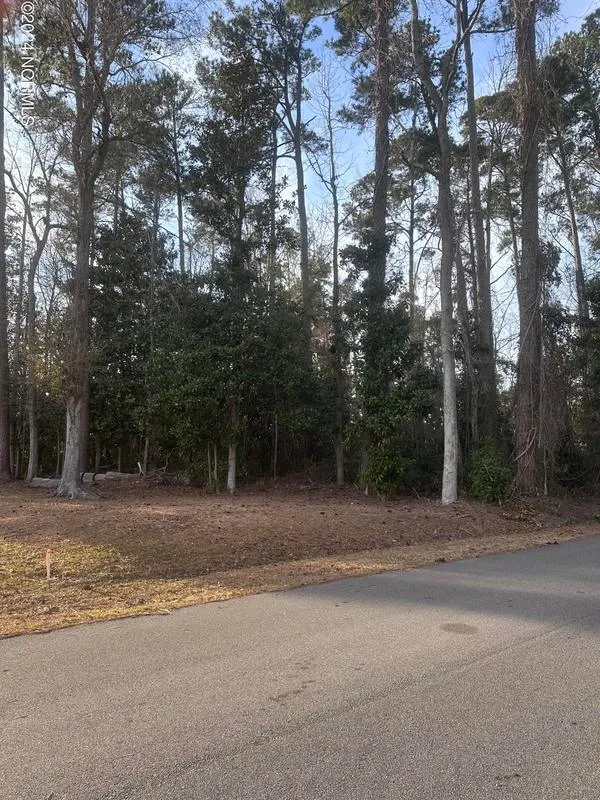 0 North Lloyd North Street, Burgaw, NC 28425 for Sale