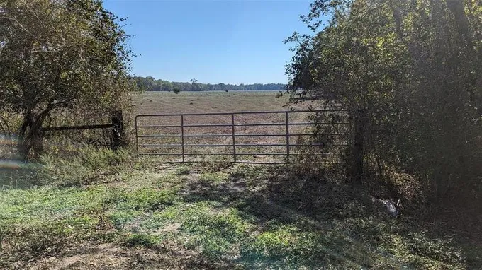 0000 County Rd 159, Hungerford, TX 77448 for Sale