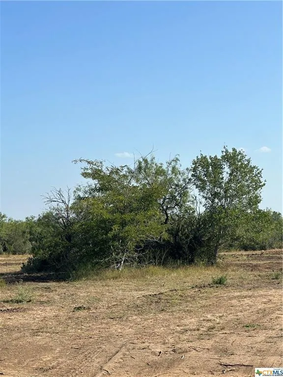 5894 Fm 1107 Unit B (tract 1), Stockdale, TX 78160 for Sale