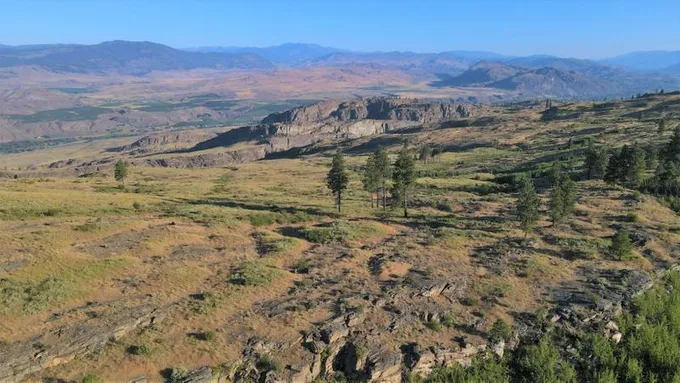 Tonasket, Okanogan County, WA Recreational Property, Hunting Property for sale Property ID: 418678526