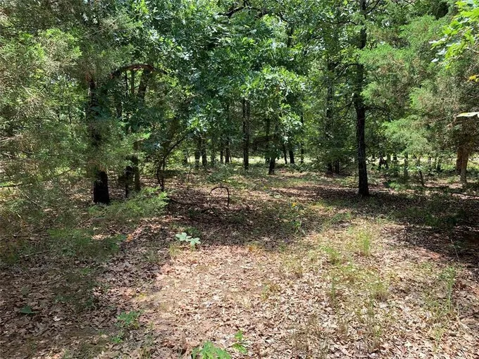 TBD Co. Rd. 1503, Athens, TX 75751 for Sale