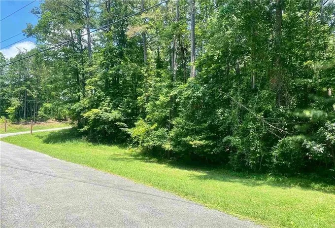 164 Jasper Court, Ellijay, GA 30540 for Sale