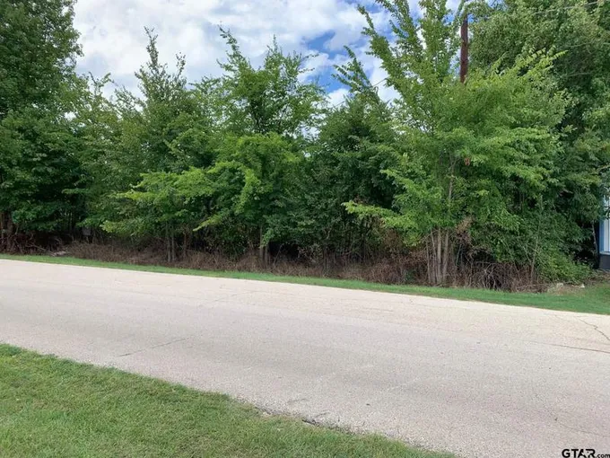 TBD Mary Martin Dr, Flint, TX 75762 for Sale