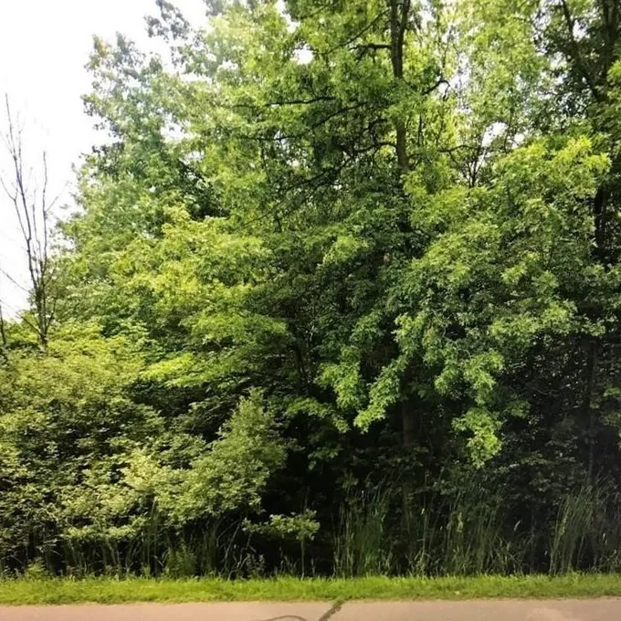 0000 Willow Rd, Belleville, MI 48111 - MLS 23146273 for Sale