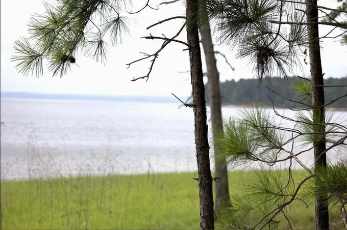 Broaddus, San Augustine County, TX Recreational Property, Undeveloped Land, Lakefront Property, Waterfront Property for sale