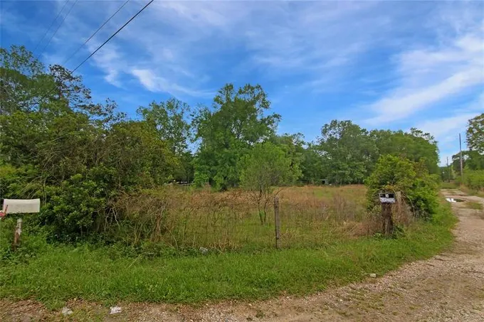 16440 Jireh Rd, Conroe, TX 77306 for Sale