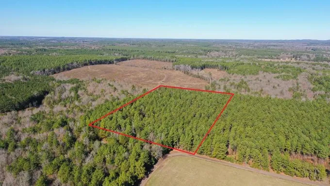 0004 CR 1459 Tract 4, Linden, TX 75563 for Sale