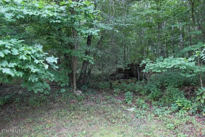 1158 County Road 875, Etowah, TN 37331 for Sale