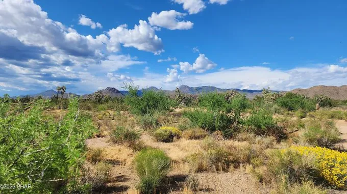 166 S Cattle Crossing Rd, Yucca, AZ 86438 - MLS 1029182 for Sale