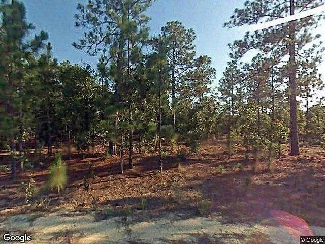 Pine Oak, CAMERON, NC 28326  621711990 for Sale