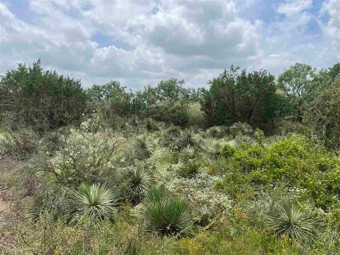 106-107 Hilldale Granite Shoals, Granite Shoals, TX 78654 for Sale