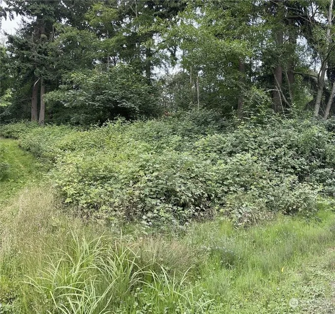 Everett, Snohomish County, WA Undeveloped Land, Homesites for sale Property ID: 418836004