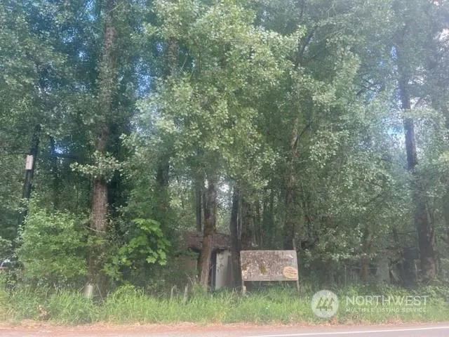 0 1123X NE OLD BELFAIR HIGHWAY, Belfair, WA 98528 Land For Sale  MLS# 2148333