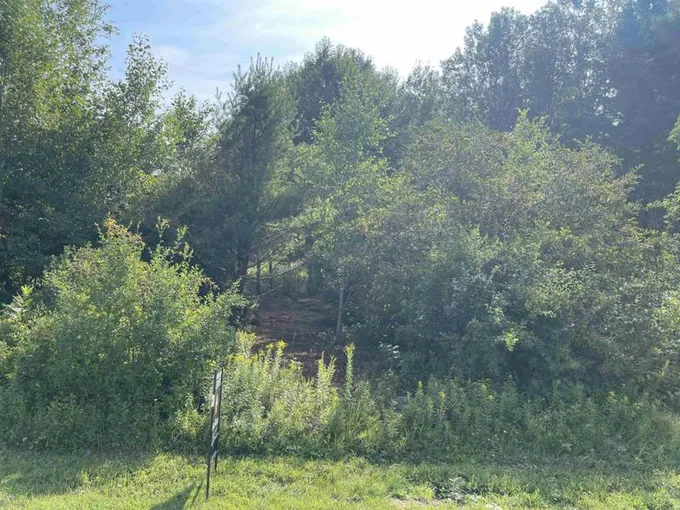 LOT 2 GAVITT STREET, Ringle, WI 54476 Land For Sale  MLS# 22235653