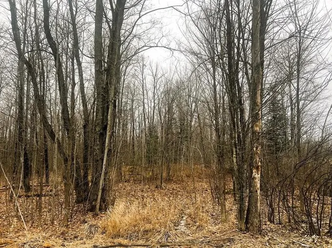 10 Acres On Andys Rd, Ingram, WI 54526 - MLS 1579445 for Sale