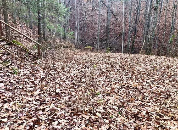 4159 Chamberlain Lane, Sevierville, TN 37862 for Sale