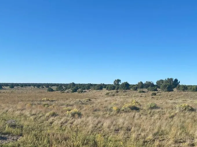 Pinehill, Cibola County, NM Recreational Property, Homesites for sale Property ID: 418816418